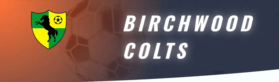 Birchwood Colts