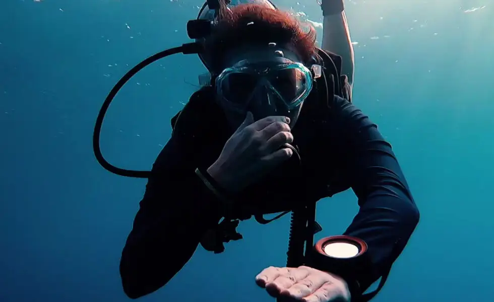 Orca Dive Club
