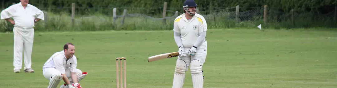 Wantage and Grove Cricket Club