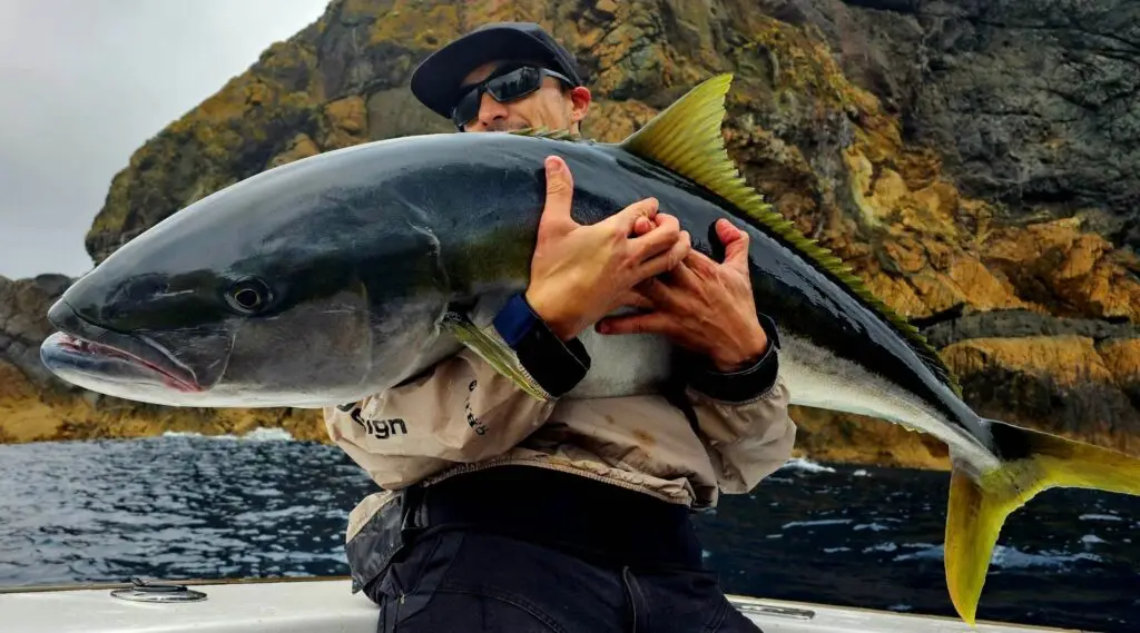 Pelagic Charters