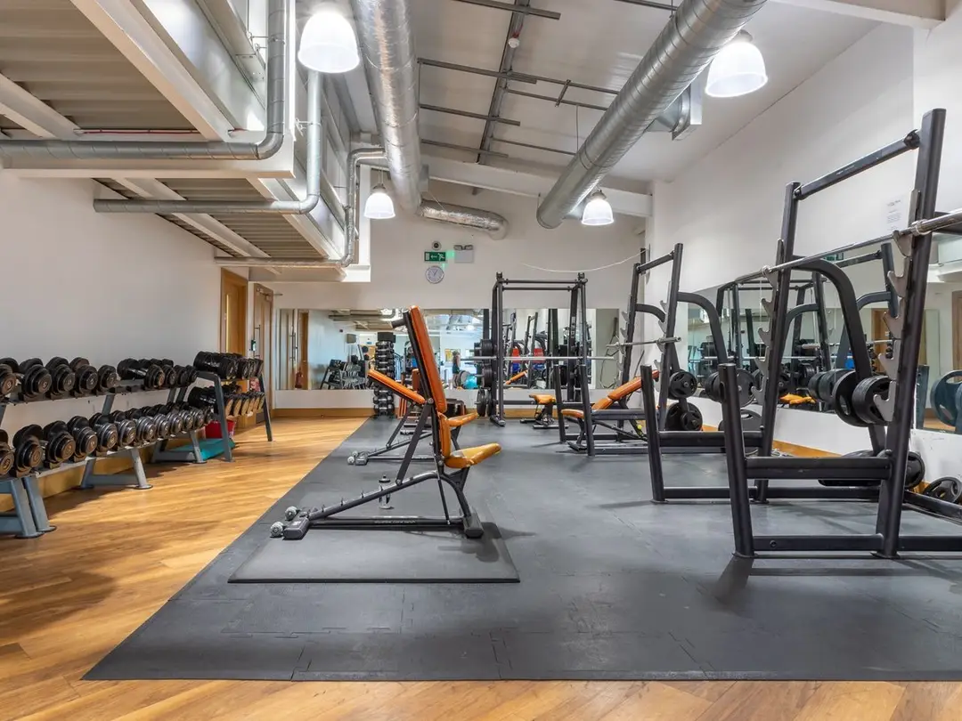 The Hive Gym