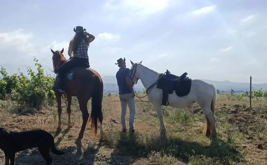 Le Ranch des Aspres