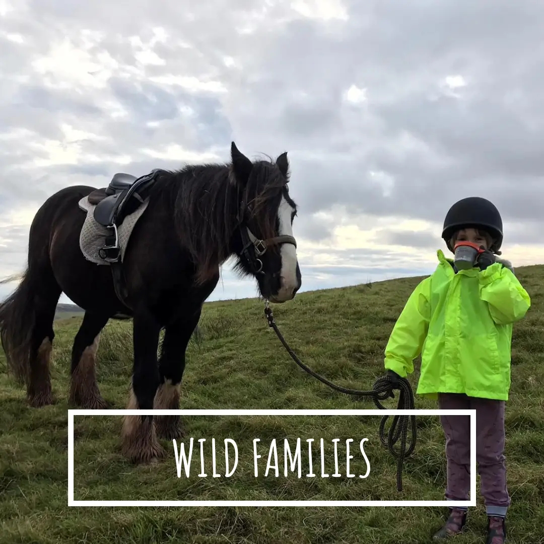 Wilder Ways