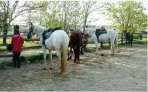 A cheval chez Theo