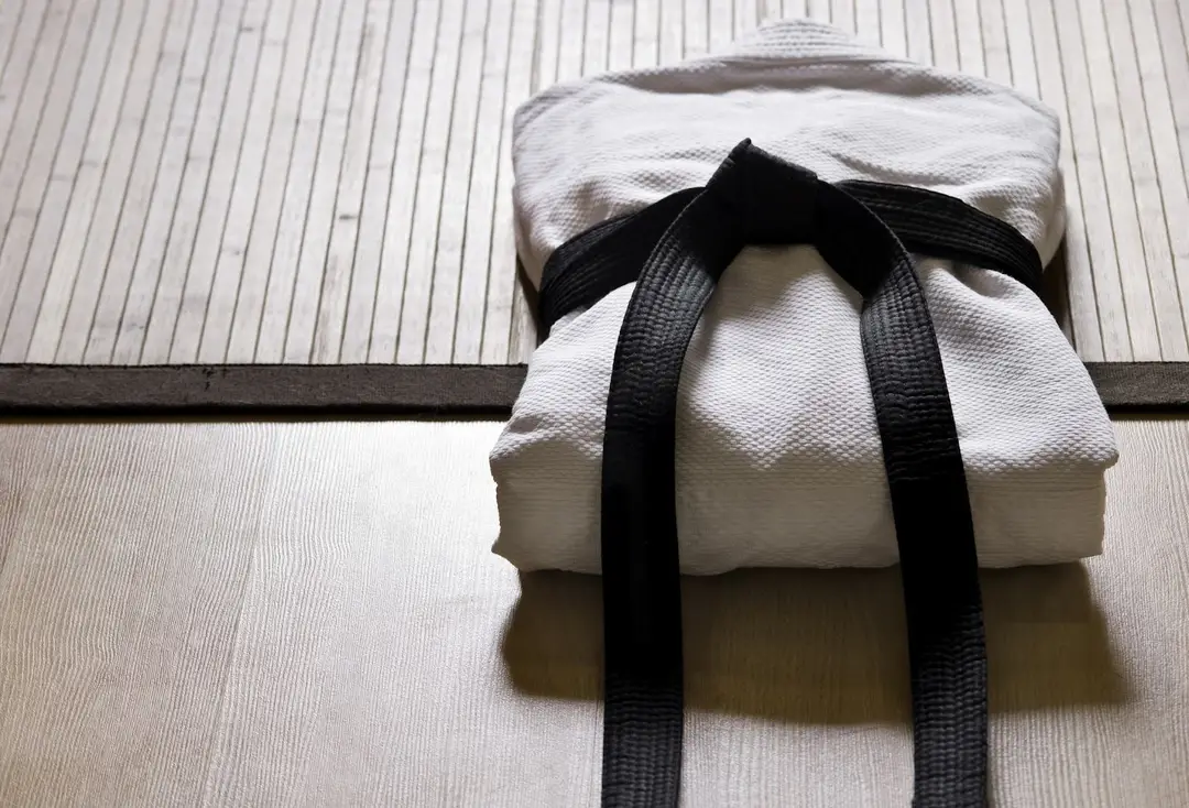 World Master Taekwondo Academy