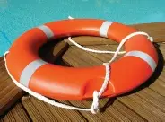 abingdon dolphins swimming club