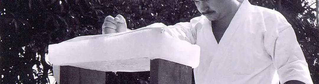 Shubukan Karate