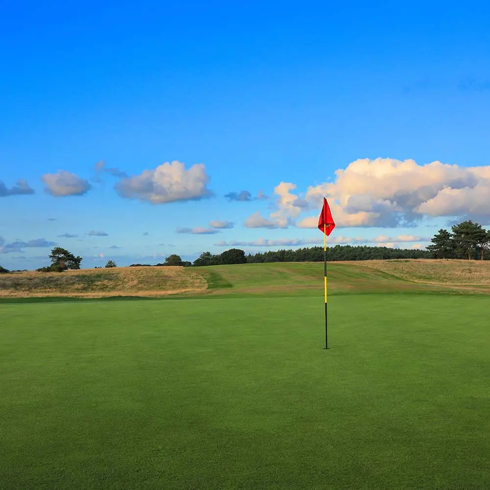 Delamere Forest Golf Club