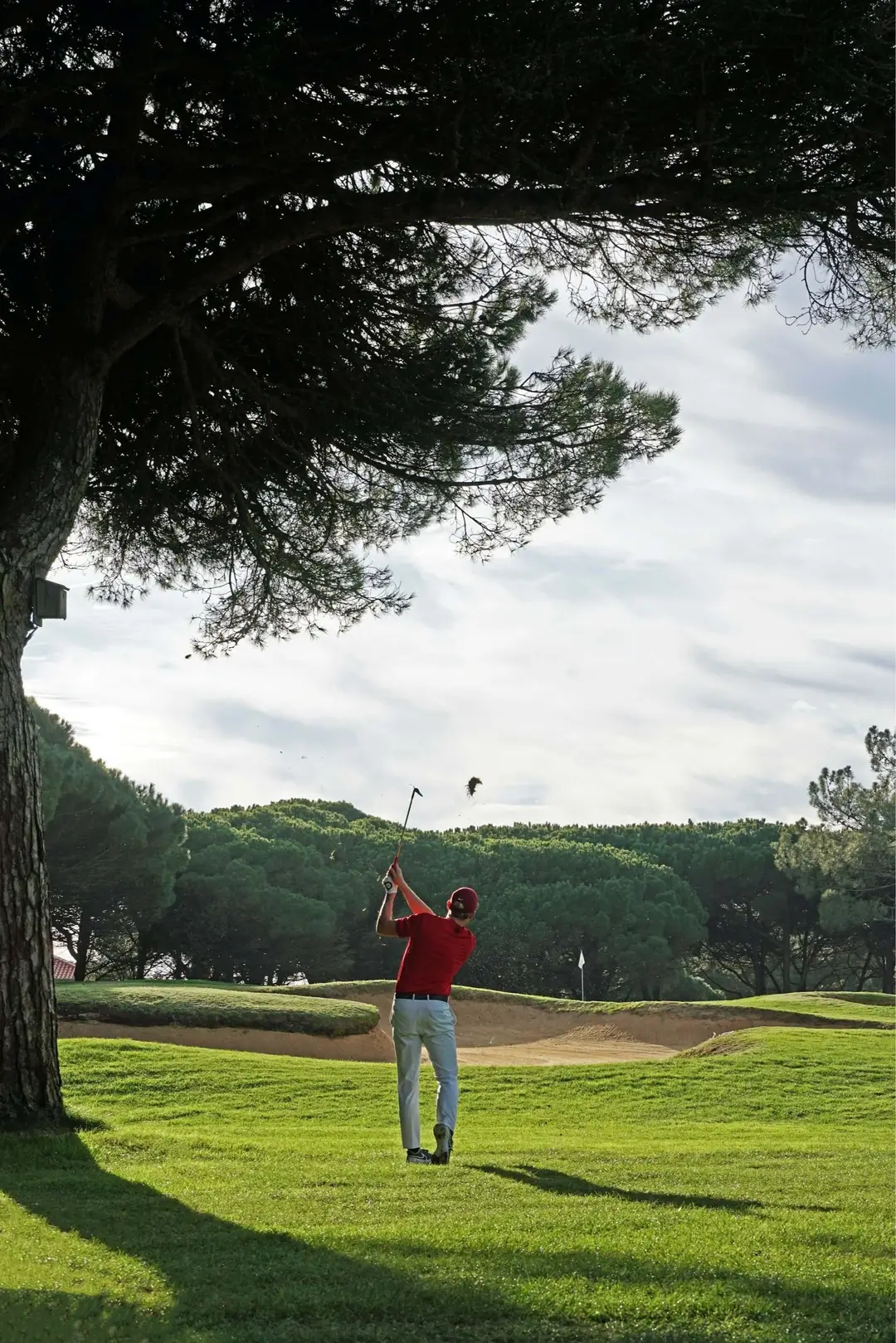 The Golf Performance Project