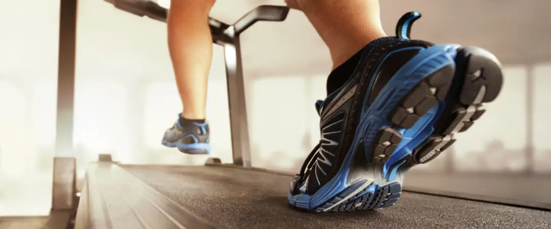 Fitness World NZ Limited