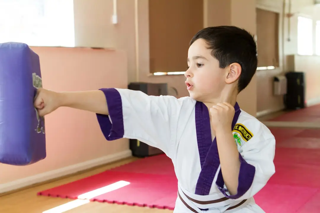 Taylor's Martial Arts