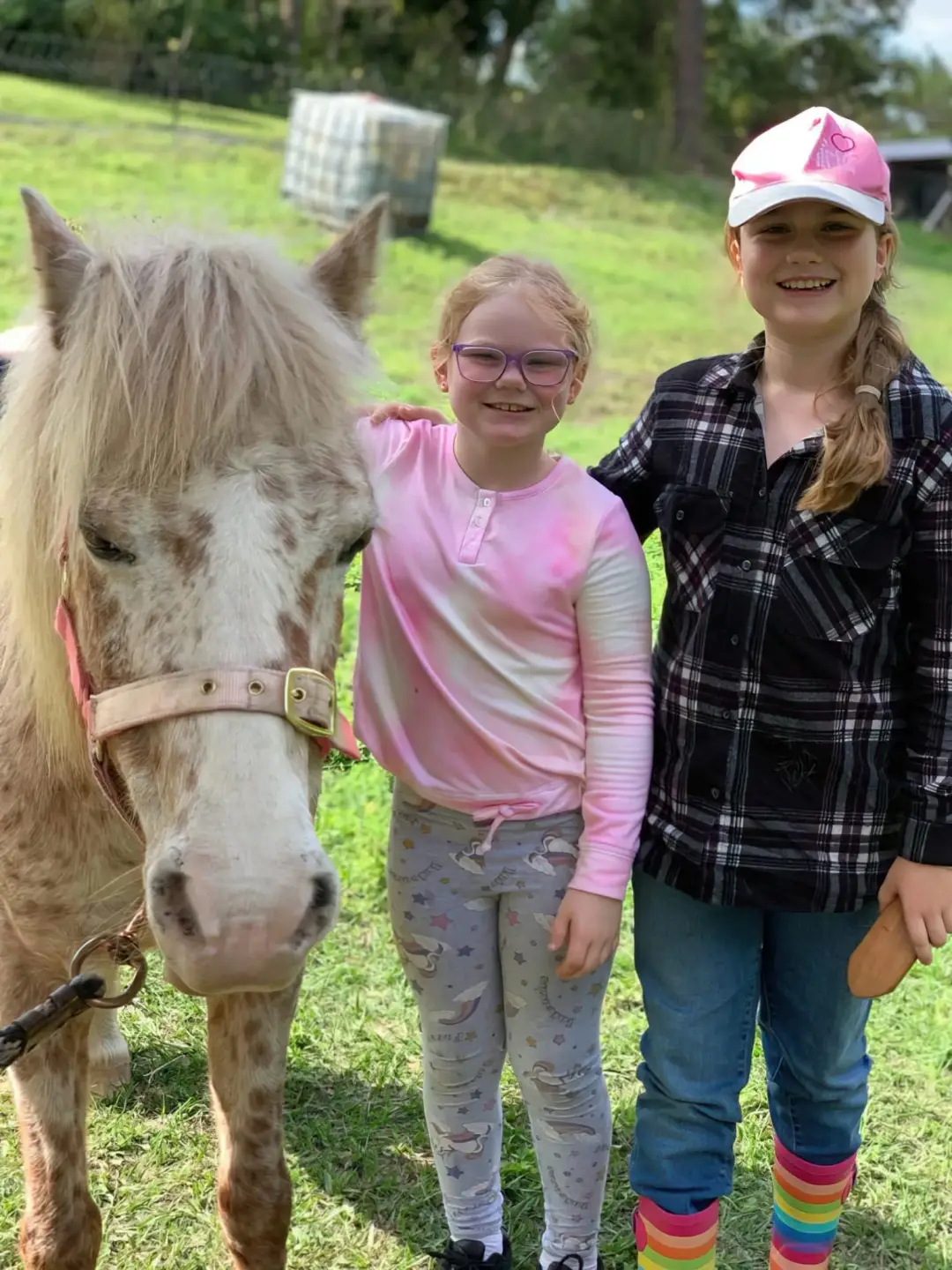 Equine Connect