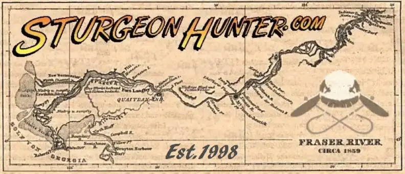 Sturgeon Hunter