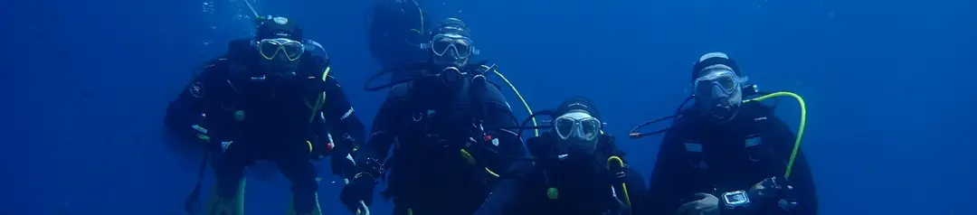 CSVN Narcosis