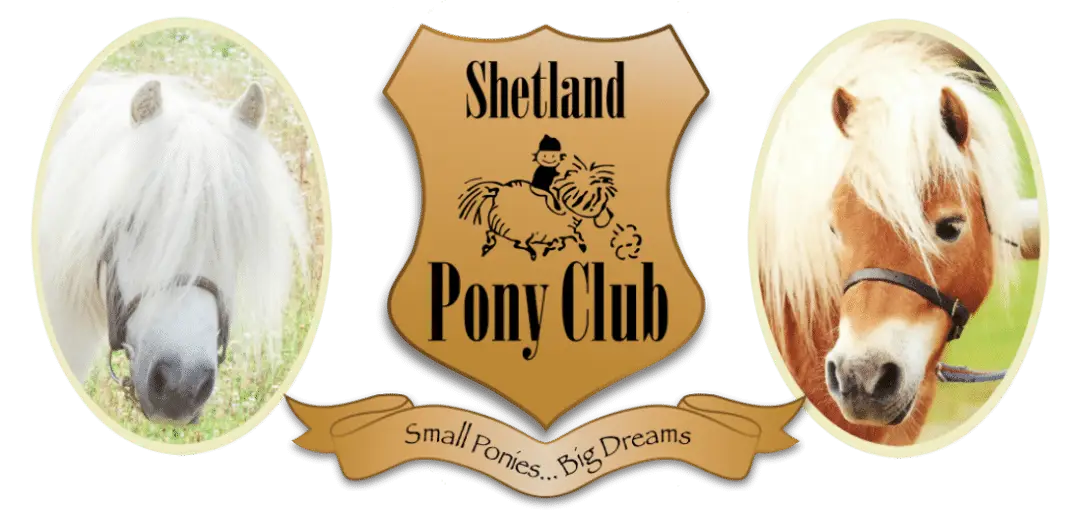 Shetland Pony Club