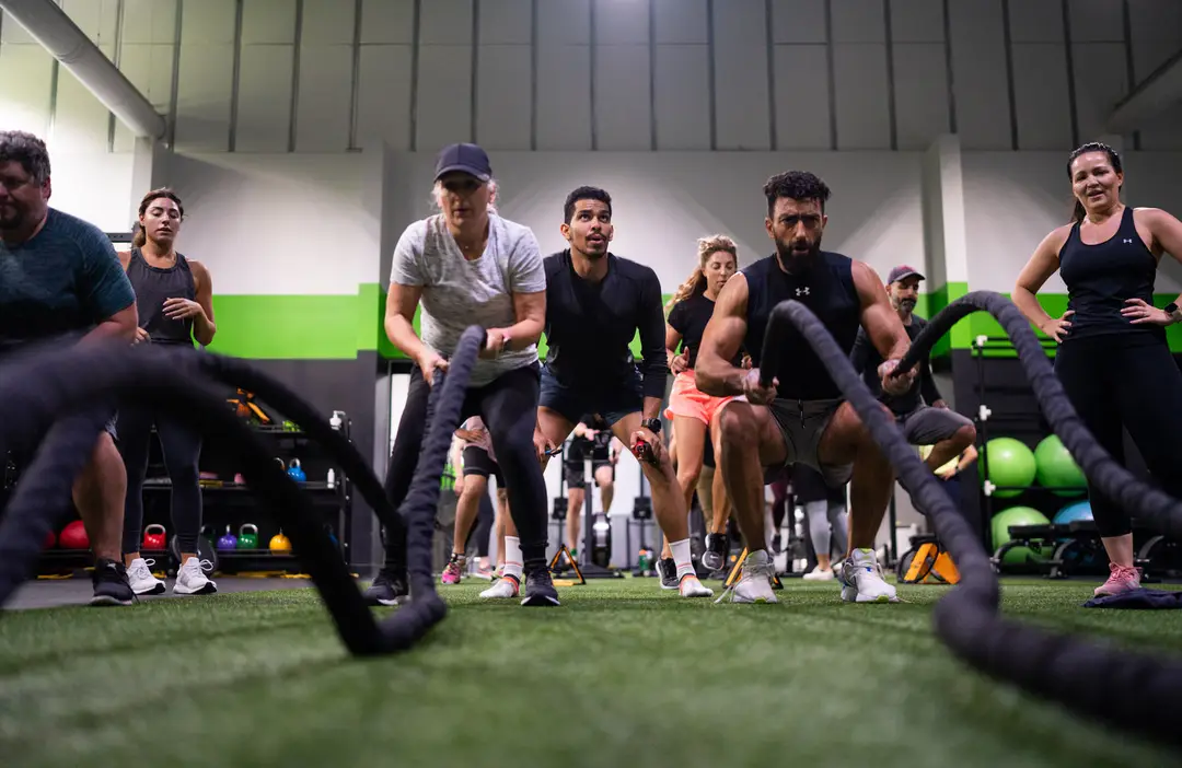 The Fitness Lab