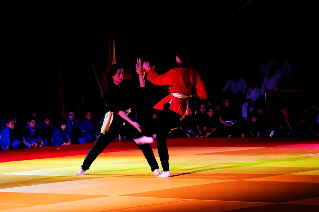Tam Vo Dao School Of Vovinam Viêt Vo Dao Paris