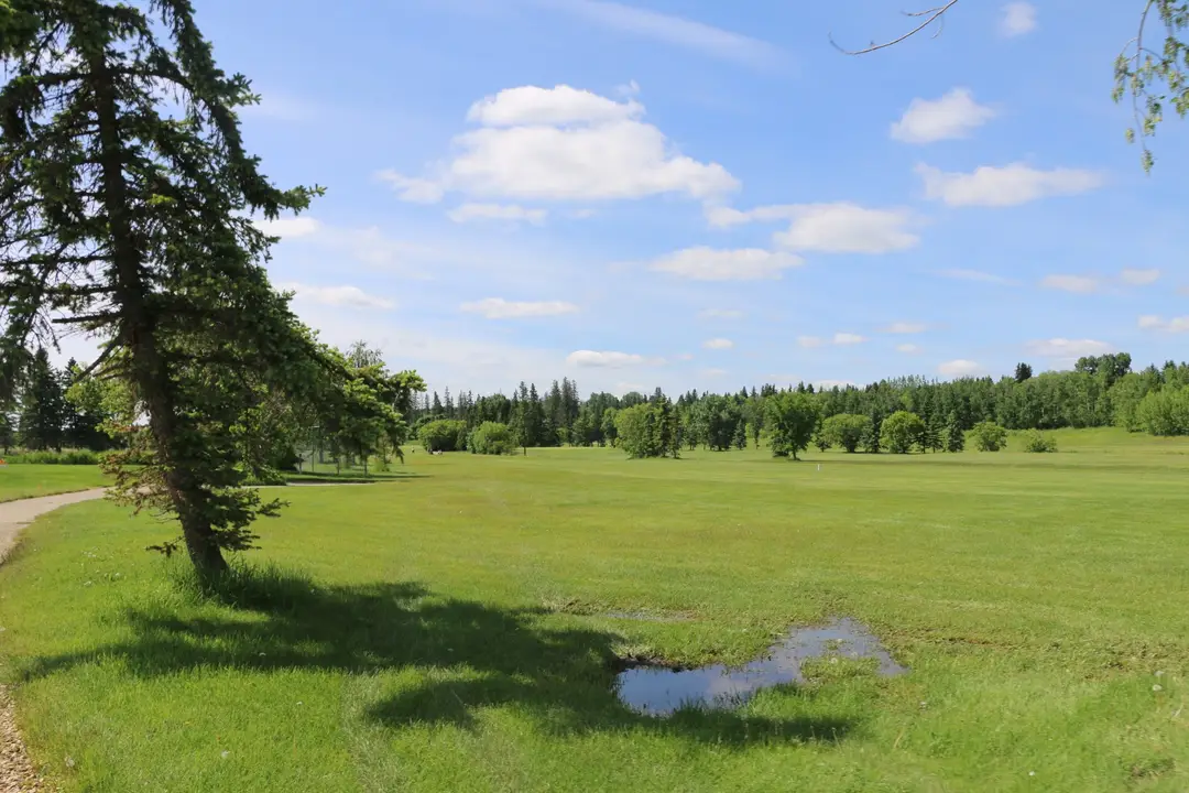 Meadowview Golf & Country Club