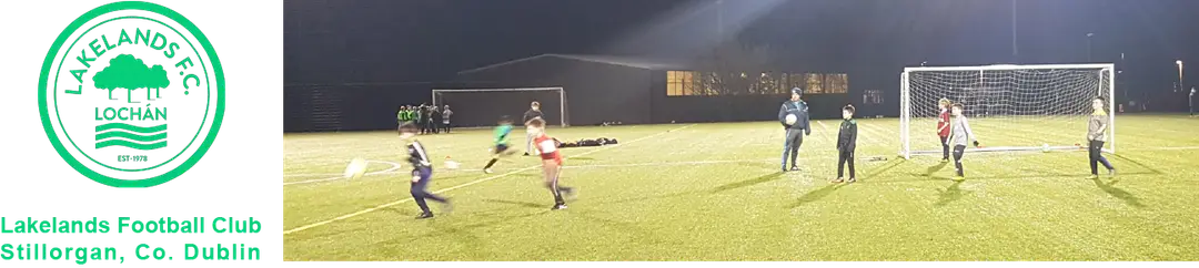 Lakelands FC Marlay Park Pitch 1