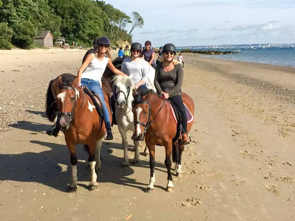 Sally's Riding School