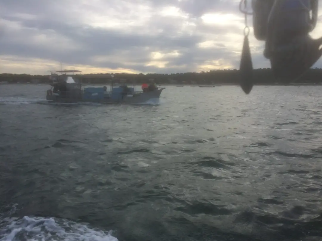 Friendly Des Pêcheurs Lantonnais