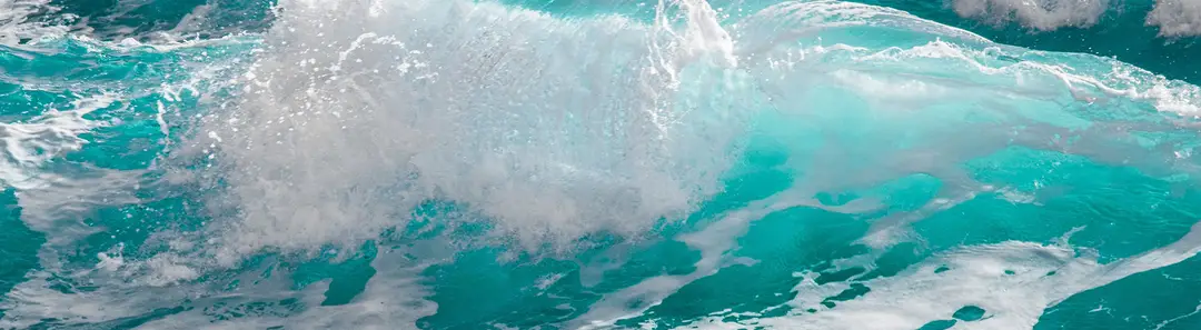 The Surf Club Cornwall