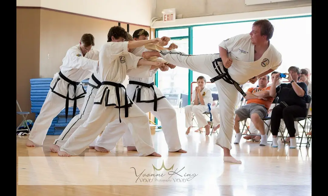 Kopperud Taekwon-Do Schools Inc