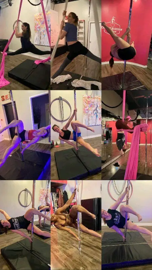 Cherry Blossom Aerial Dance Studio