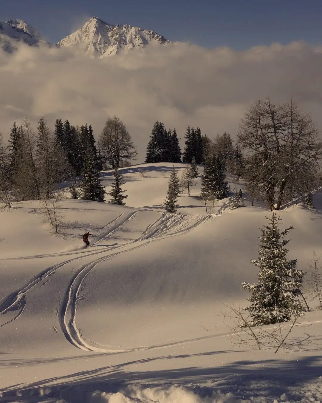 motion snowboarding
