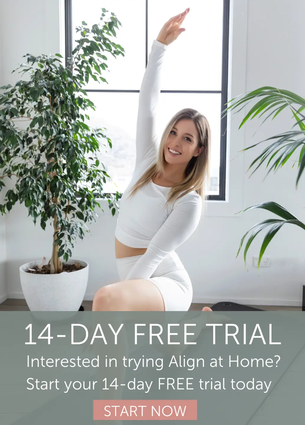 Align Pilates