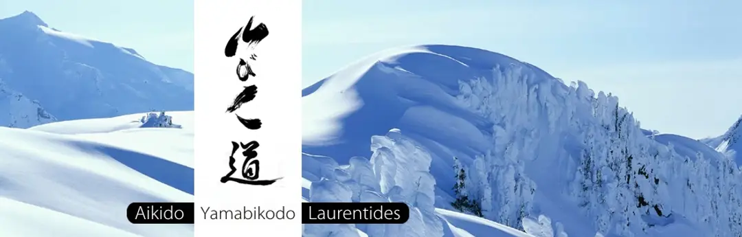 Aikido Laurentides De Saint-Jrme Sainte-Agathe Terrebonne