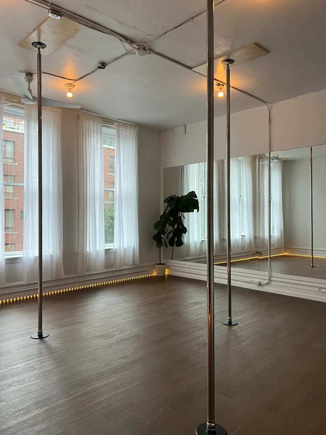gooey studios
