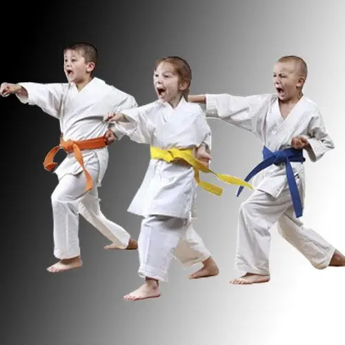 WSKF World Shotokan Karate-do Federation in Australia