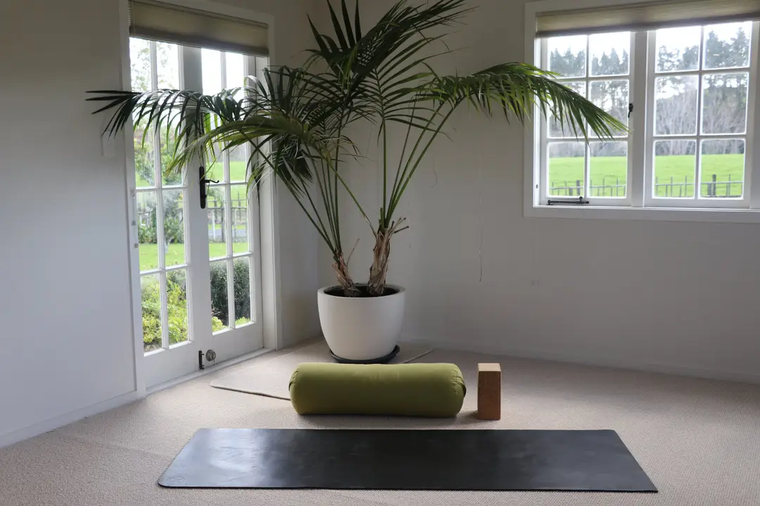 YOU Wellness Studio