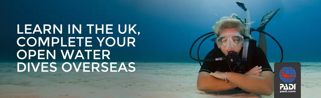 DM Scuba Training