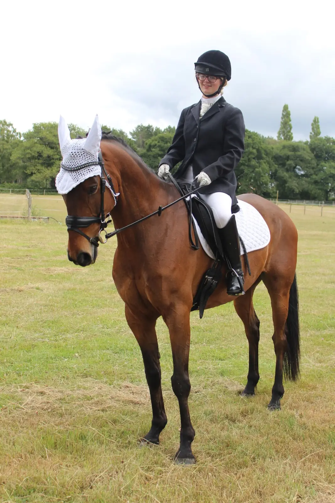 Arniss Equestrian