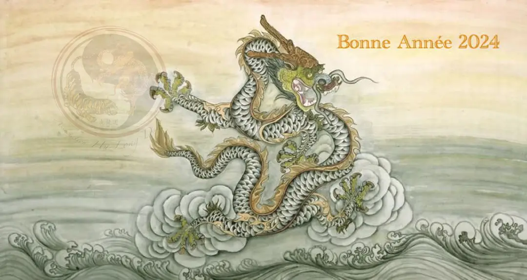 Hu Long Dao - Taiji Quan / Kung Fu - Arts Martiaux Chinois