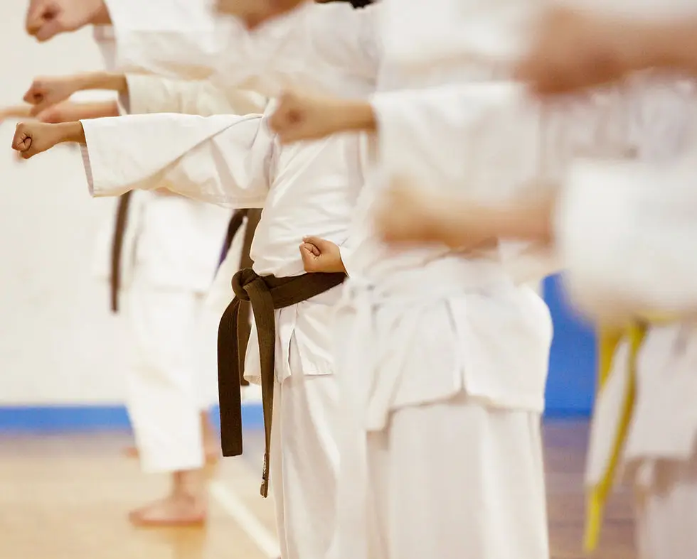 AuDojo