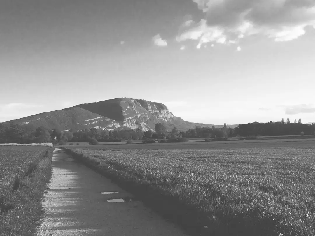 Performance Reathletisation BONNEVIE
