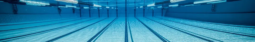 Chase Swimming Club