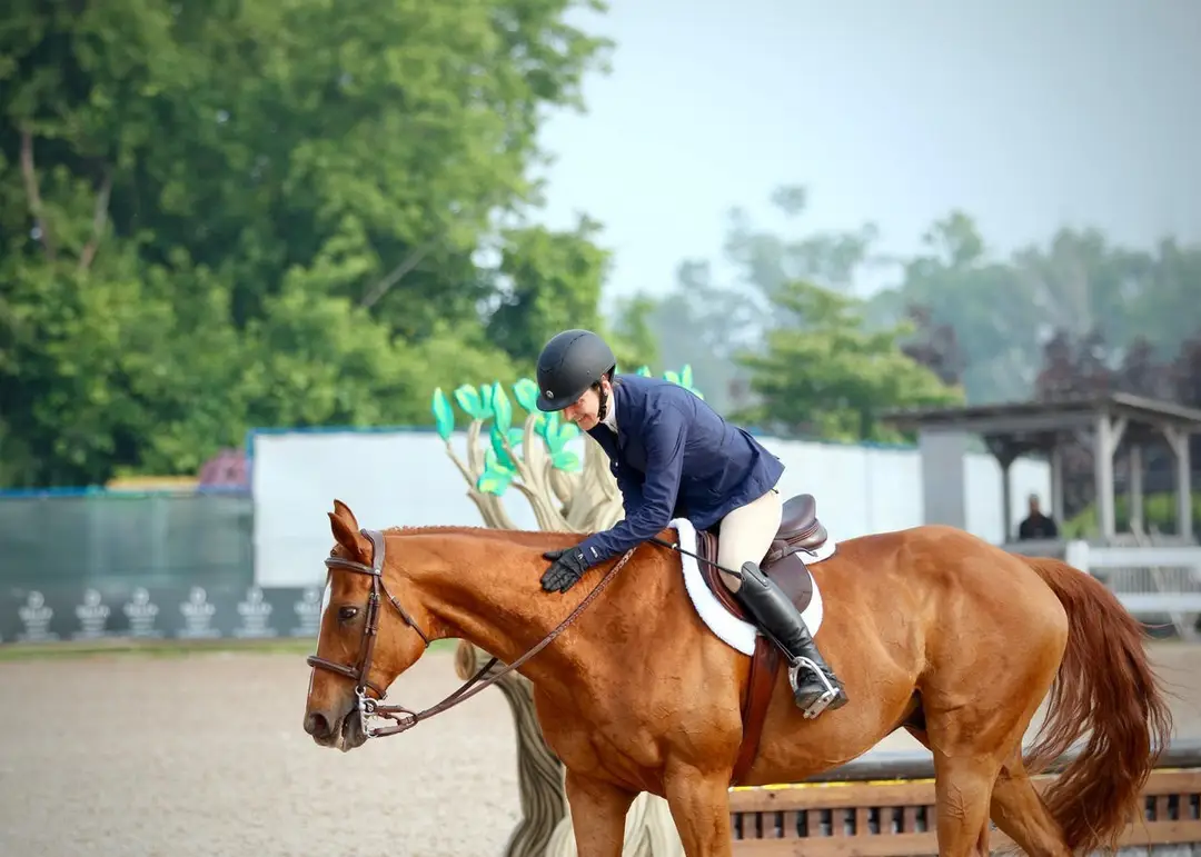 Valiant Equestrian
