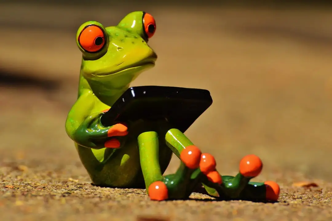 Accompagnement Humain