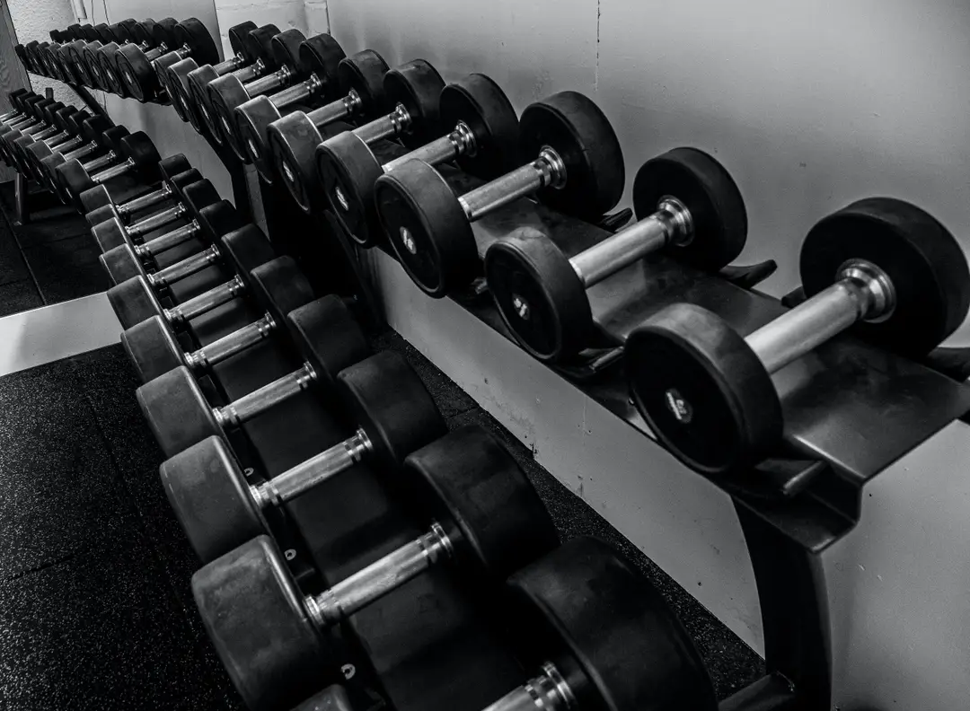 Portelli Fitness
