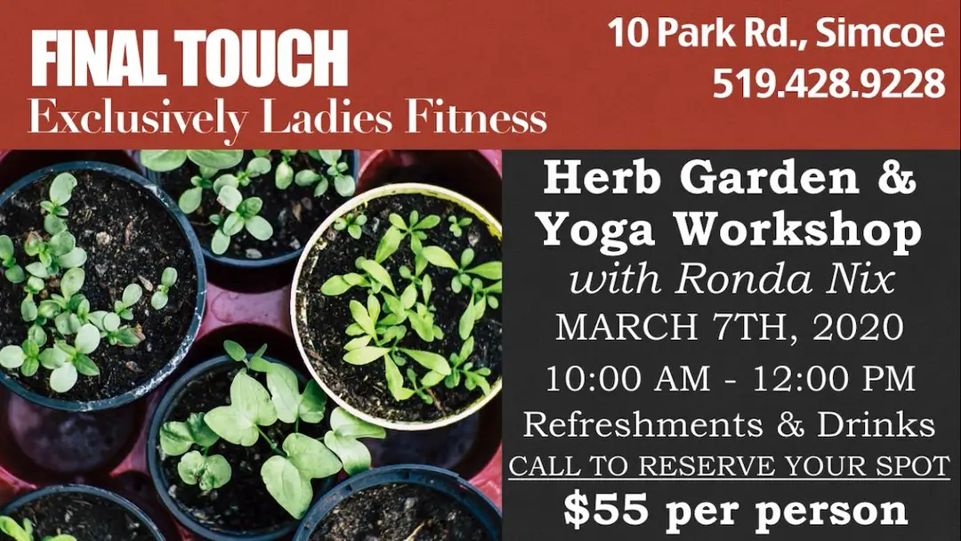 Final Touch Exclusively Ladies Fitness