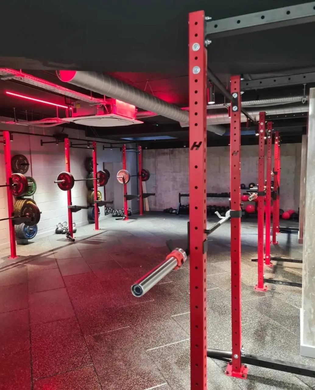 DaleyFitness