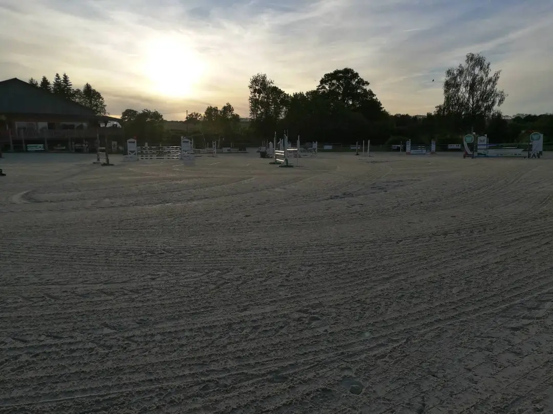 Camille Boudier / Vibraye Equitation