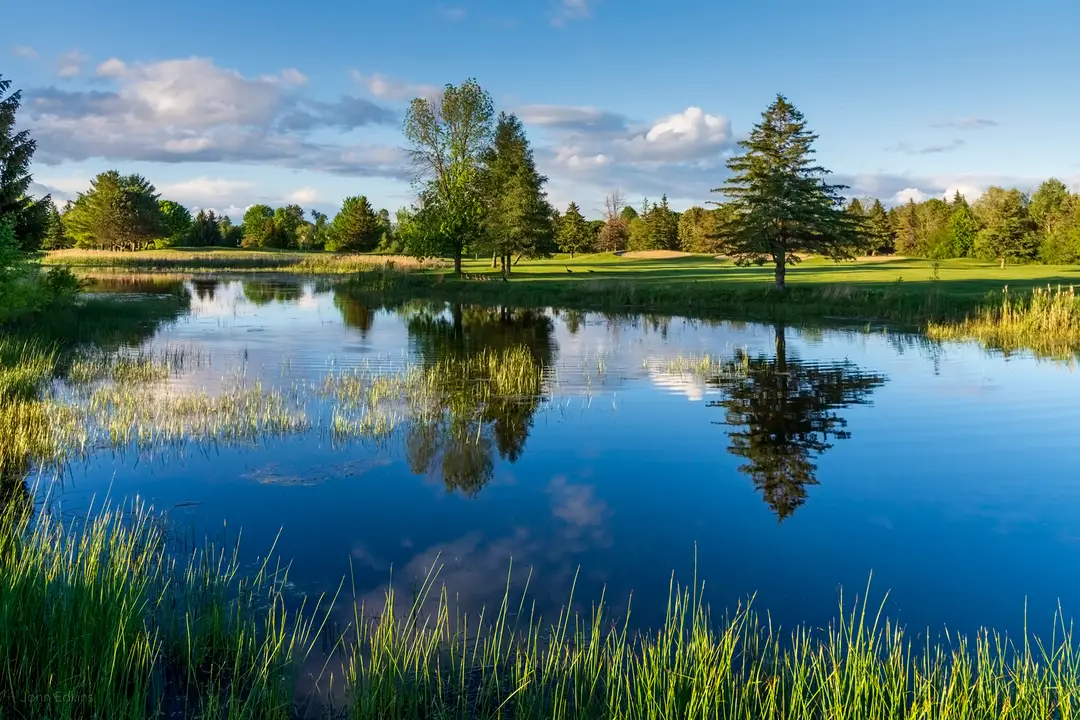 Amberwood Village Golf