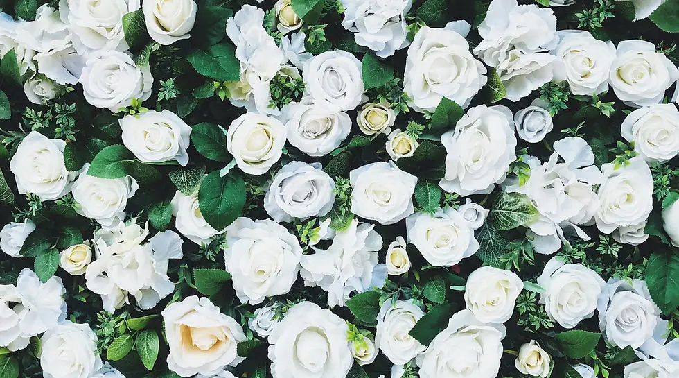Rose Rituals Wellness