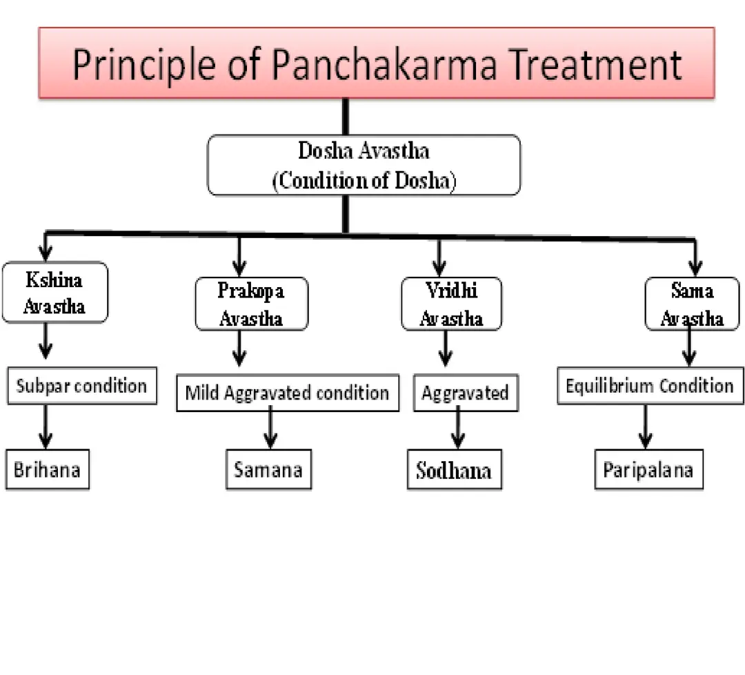 The Brahmavidya Treatment and Training Center