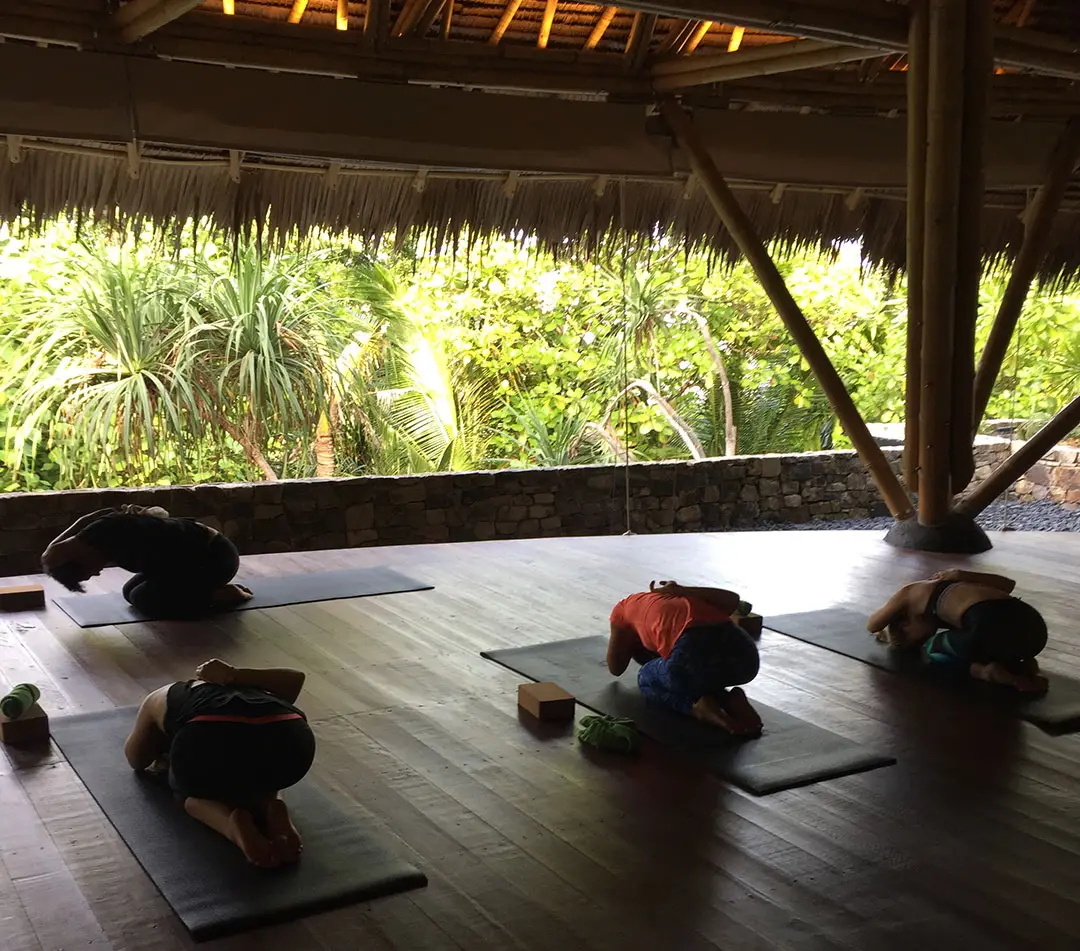 Perform Yoga - The Best Yoga Classes